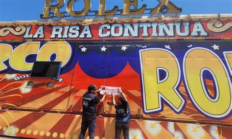 circo rolex antofagasta|Prohíben funcionamiento de Circo Rolex por graves .